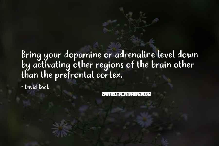 David Rock Quotes: Bring your dopamine or adrenaline level down by activating other regions of the brain other than the prefrontal cortex.