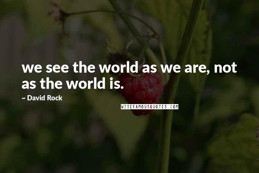 David Rock Quotes: we see the world as we are, not as the world is.