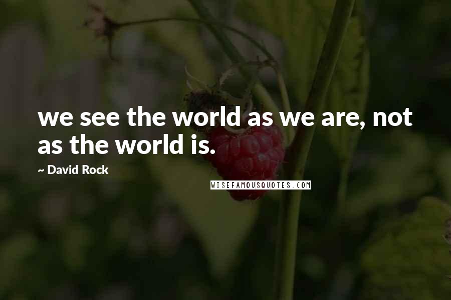 David Rock Quotes: we see the world as we are, not as the world is.