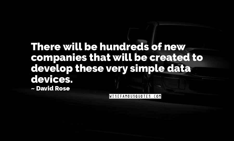 David Rose Quotes: There will be hundreds of new companies that will be created to develop these very simple data devices.