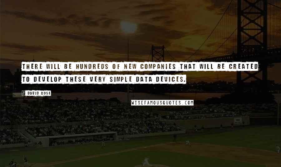 David Rose Quotes: There will be hundreds of new companies that will be created to develop these very simple data devices.