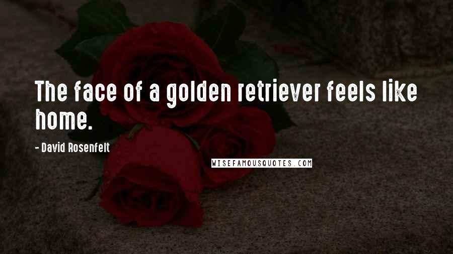 David Rosenfelt Quotes: The face of a golden retriever feels like home.