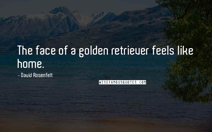 David Rosenfelt Quotes: The face of a golden retriever feels like home.