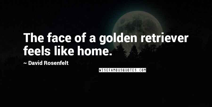 David Rosenfelt Quotes: The face of a golden retriever feels like home.