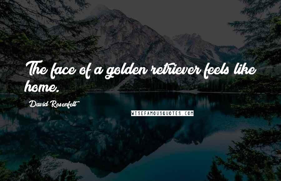 David Rosenfelt Quotes: The face of a golden retriever feels like home.