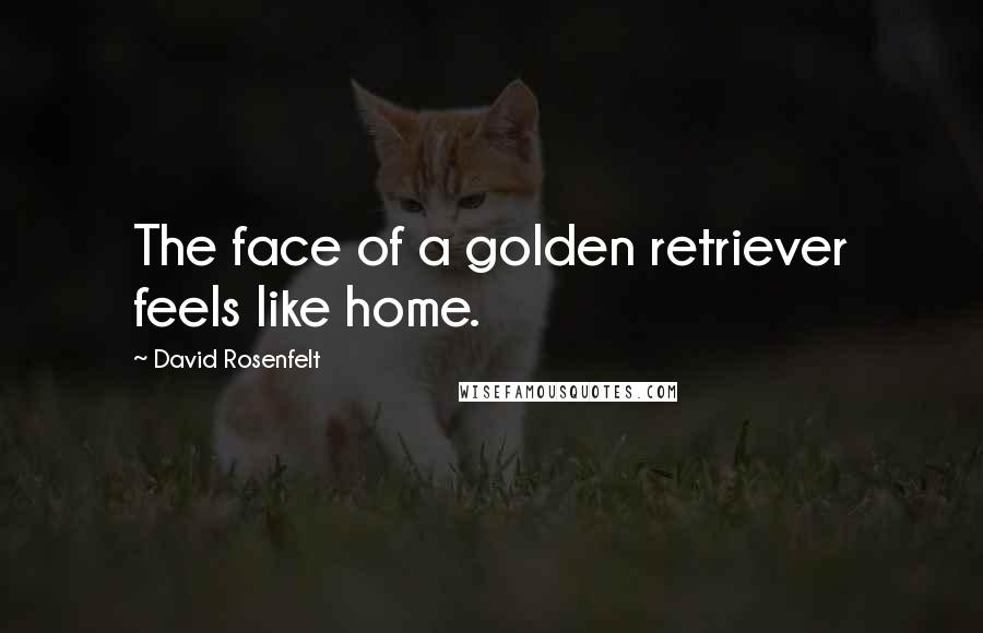 David Rosenfelt Quotes: The face of a golden retriever feels like home.