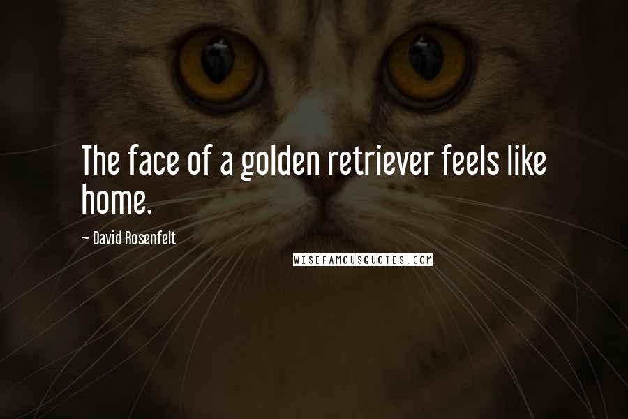 David Rosenfelt Quotes: The face of a golden retriever feels like home.