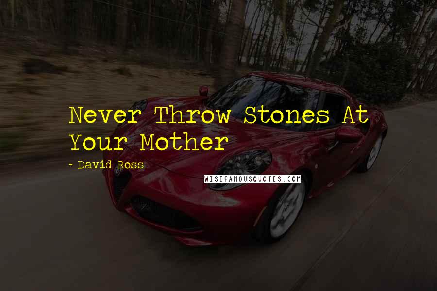 David Ross Quotes: Never Throw Stones At Your Mother