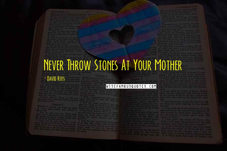 David Ross Quotes: Never Throw Stones At Your Mother