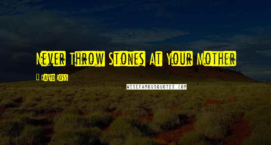 David Ross Quotes: Never Throw Stones At Your Mother