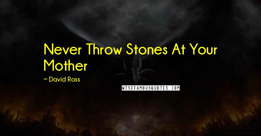 David Ross Quotes: Never Throw Stones At Your Mother