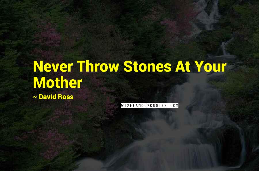 David Ross Quotes: Never Throw Stones At Your Mother