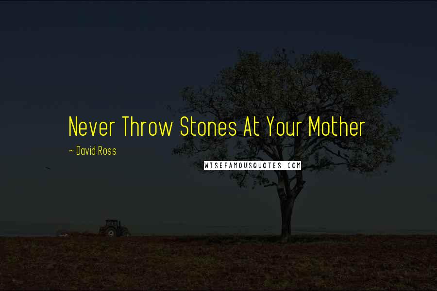 David Ross Quotes: Never Throw Stones At Your Mother