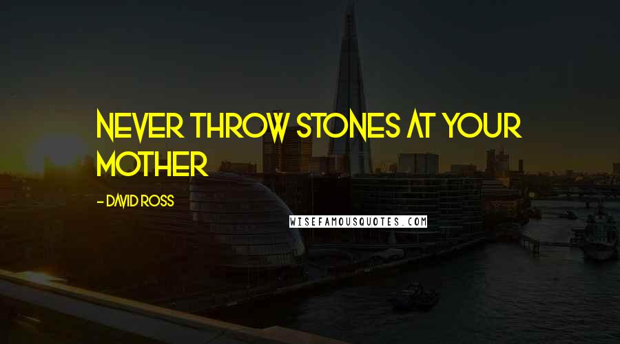 David Ross Quotes: Never Throw Stones At Your Mother