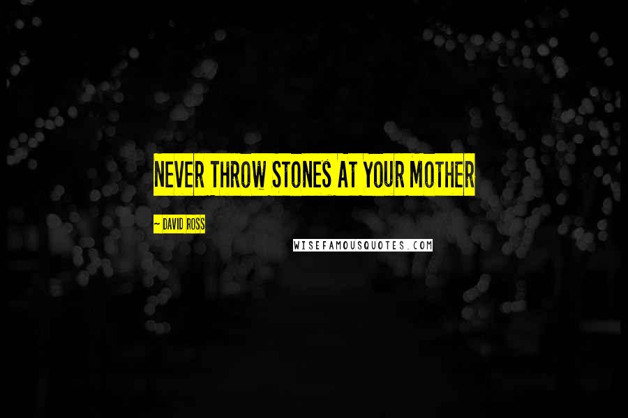 David Ross Quotes: Never Throw Stones At Your Mother