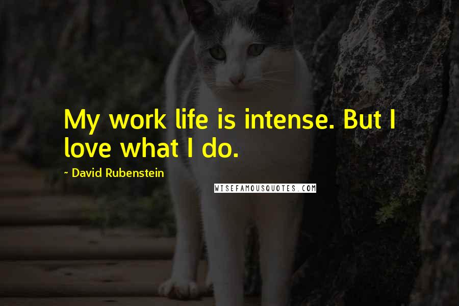 David Rubenstein Quotes: My work life is intense. But I love what I do.