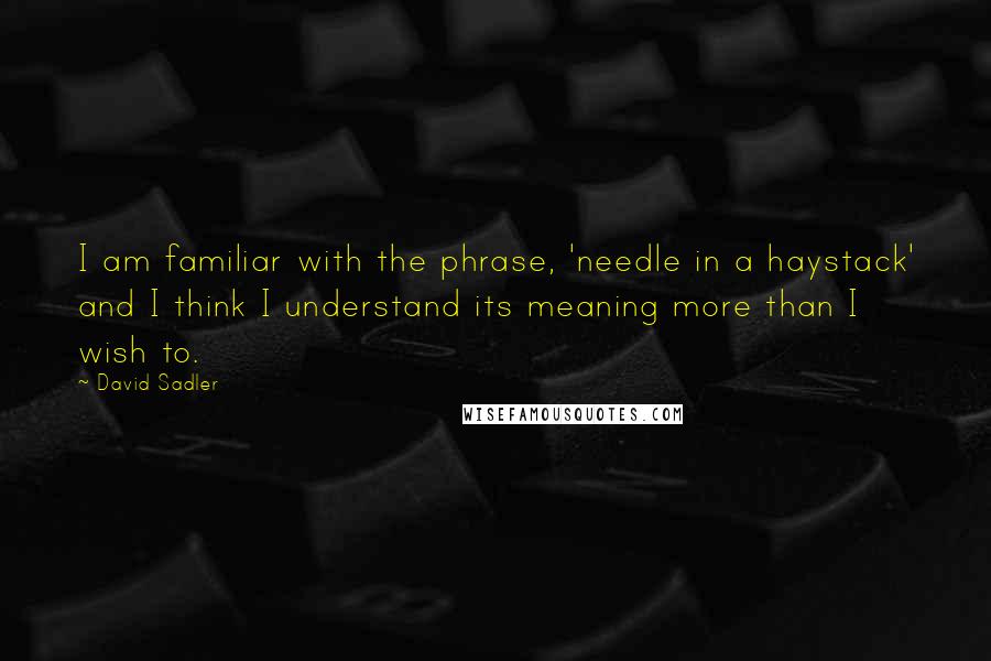 David Sadler Quotes: I am familiar with the phrase, 'needle in a haystack' and I think I understand its meaning more than I wish to.