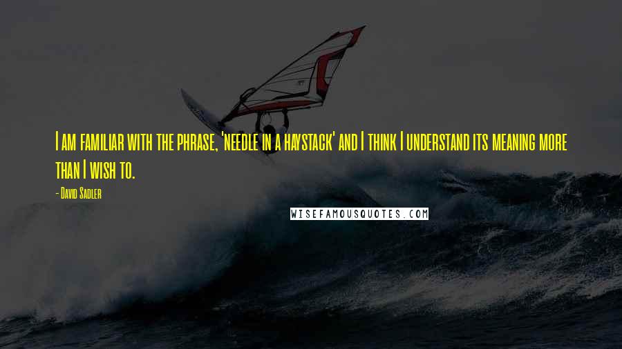 David Sadler Quotes: I am familiar with the phrase, 'needle in a haystack' and I think I understand its meaning more than I wish to.