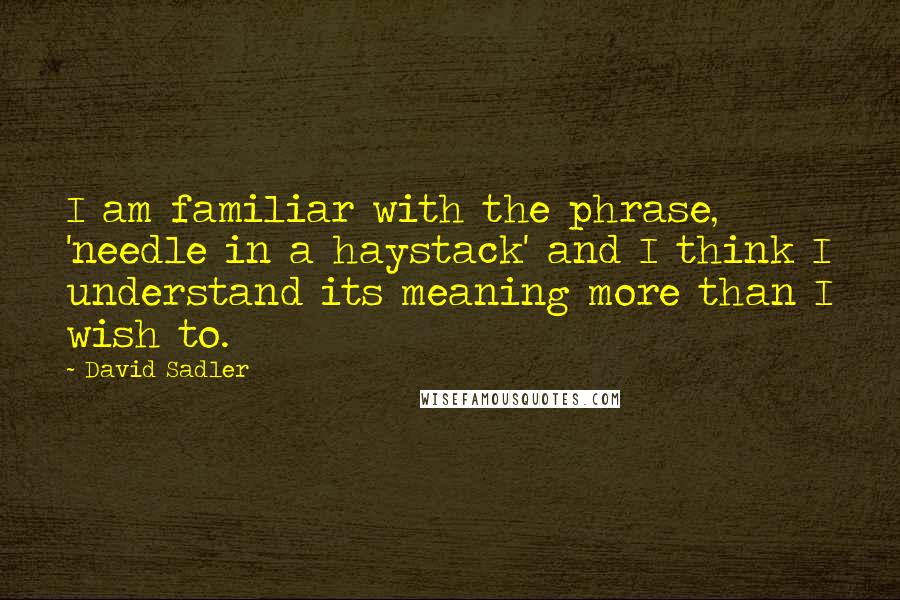 David Sadler Quotes: I am familiar with the phrase, 'needle in a haystack' and I think I understand its meaning more than I wish to.