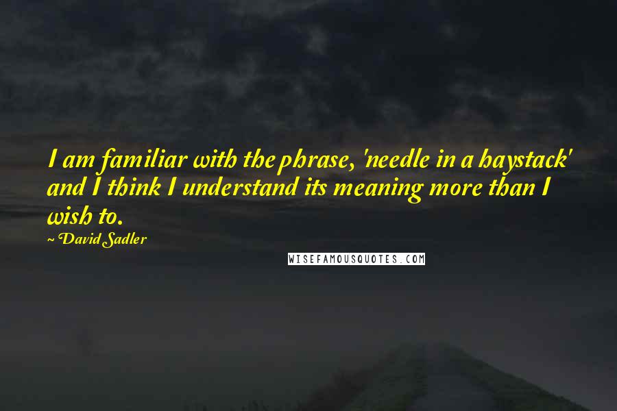 David Sadler Quotes: I am familiar with the phrase, 'needle in a haystack' and I think I understand its meaning more than I wish to.