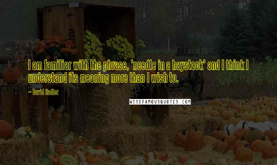 David Sadler Quotes: I am familiar with the phrase, 'needle in a haystack' and I think I understand its meaning more than I wish to.