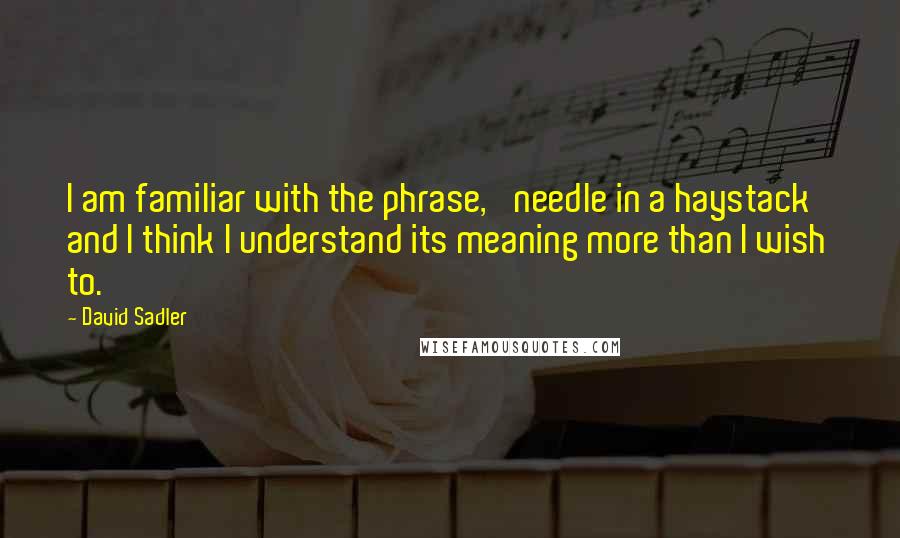 David Sadler Quotes: I am familiar with the phrase, 'needle in a haystack' and I think I understand its meaning more than I wish to.