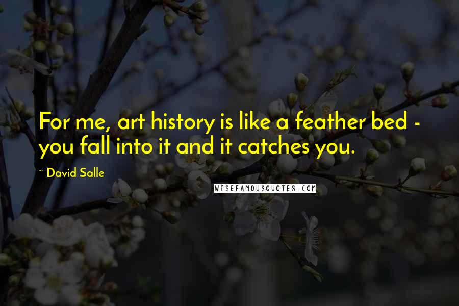 David Salle Quotes: For me, art history is like a feather bed - you fall into it and it catches you.