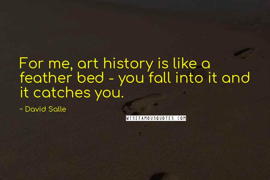 David Salle Quotes: For me, art history is like a feather bed - you fall into it and it catches you.
