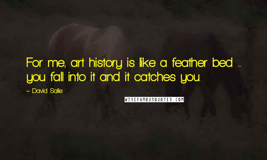 David Salle Quotes: For me, art history is like a feather bed - you fall into it and it catches you.
