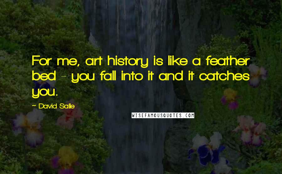 David Salle Quotes: For me, art history is like a feather bed - you fall into it and it catches you.