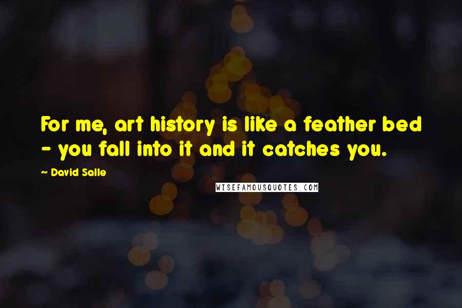 David Salle Quotes: For me, art history is like a feather bed - you fall into it and it catches you.