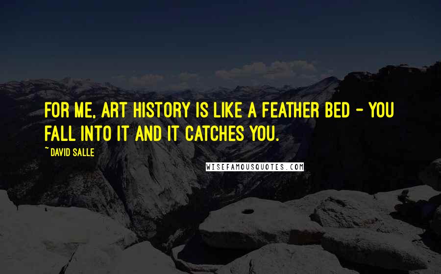 David Salle Quotes: For me, art history is like a feather bed - you fall into it and it catches you.