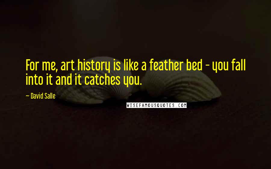 David Salle Quotes: For me, art history is like a feather bed - you fall into it and it catches you.