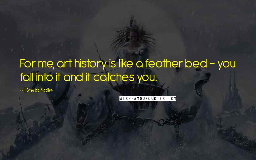 David Salle Quotes: For me, art history is like a feather bed - you fall into it and it catches you.