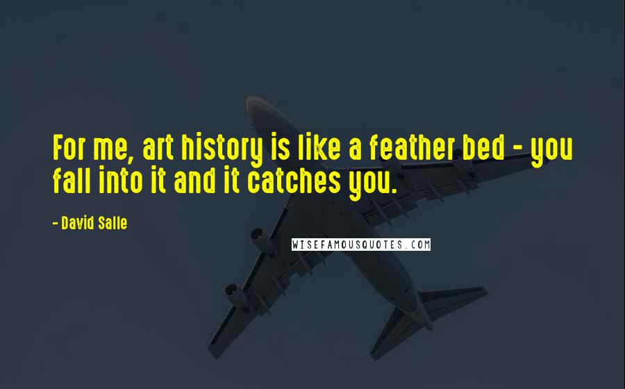 David Salle Quotes: For me, art history is like a feather bed - you fall into it and it catches you.