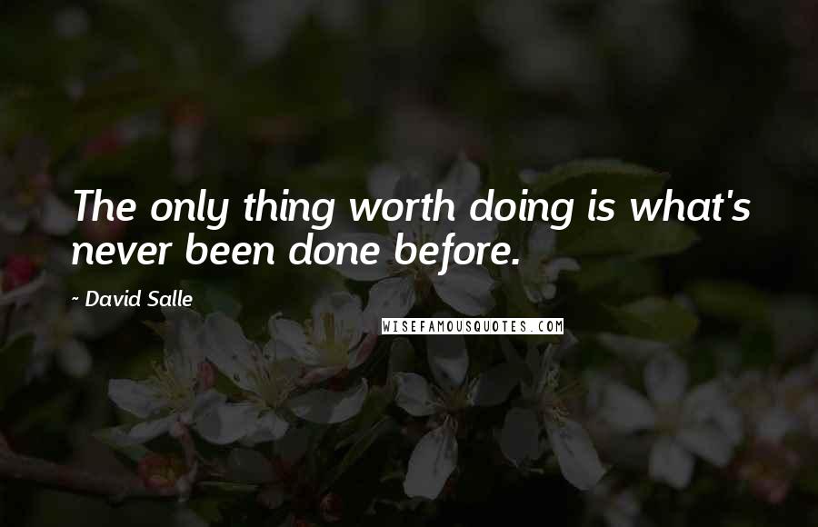 David Salle Quotes: The only thing worth doing is what's never been done before.