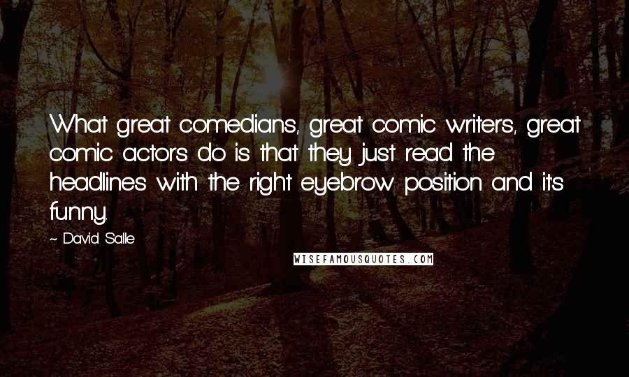 David Salle Quotes: What great comedians, great comic writers, great comic actors do is that they just read the headlines with the right eyebrow position and it's funny.