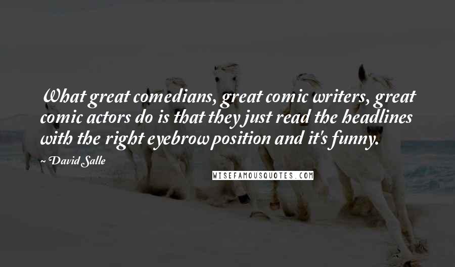David Salle Quotes: What great comedians, great comic writers, great comic actors do is that they just read the headlines with the right eyebrow position and it's funny.