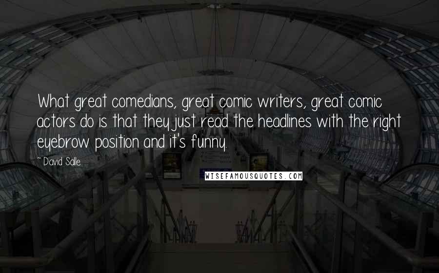 David Salle Quotes: What great comedians, great comic writers, great comic actors do is that they just read the headlines with the right eyebrow position and it's funny.