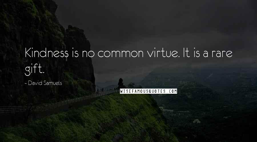 David Samuels Quotes: Kindness is no common virtue. It is a rare gift.