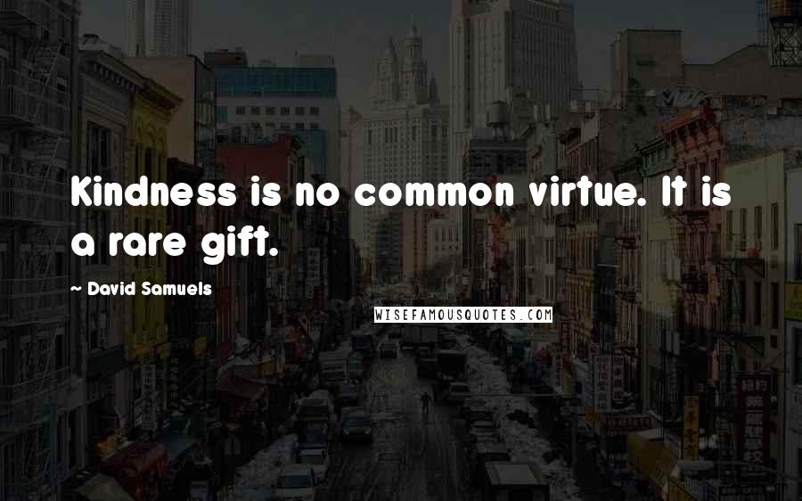 David Samuels Quotes: Kindness is no common virtue. It is a rare gift.