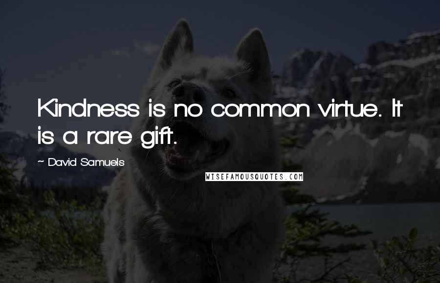 David Samuels Quotes: Kindness is no common virtue. It is a rare gift.