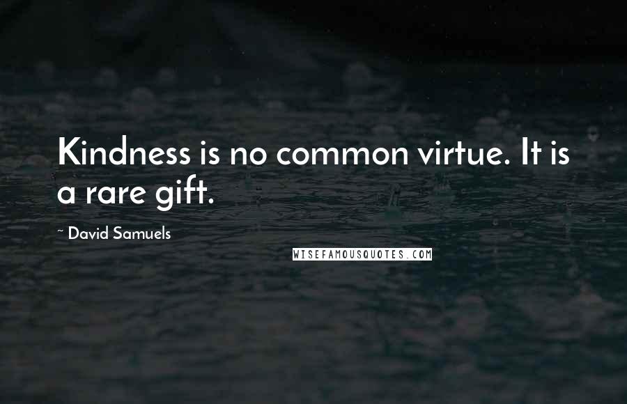 David Samuels Quotes: Kindness is no common virtue. It is a rare gift.