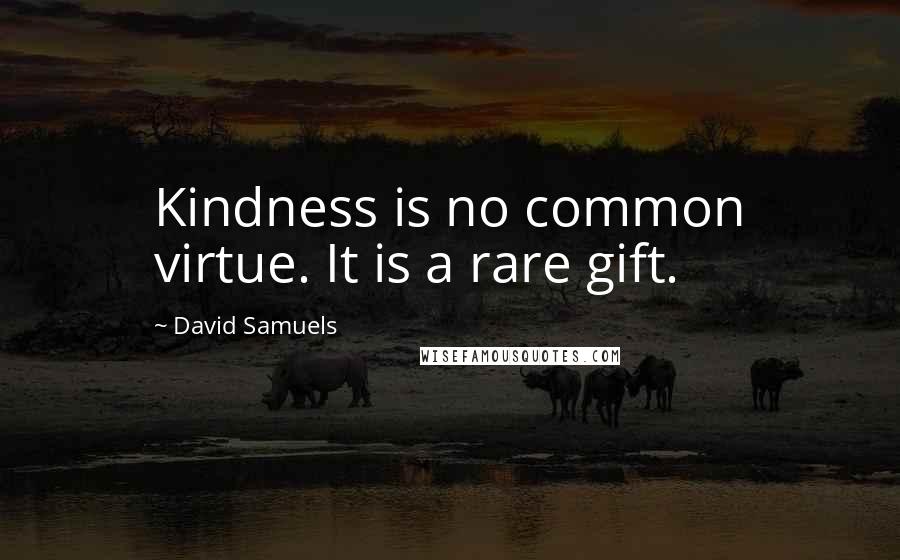 David Samuels Quotes: Kindness is no common virtue. It is a rare gift.