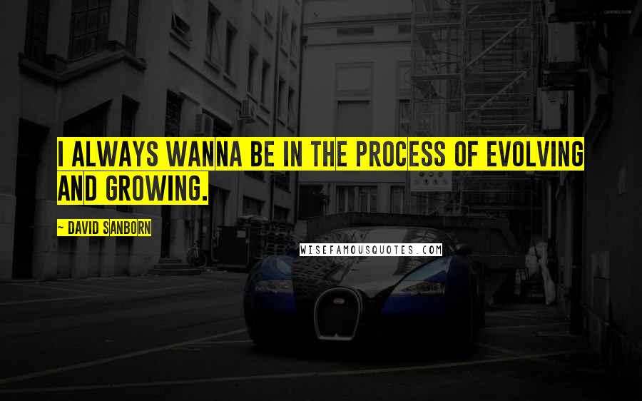 David Sanborn Quotes: I always wanna be in the process of evolving and growing.