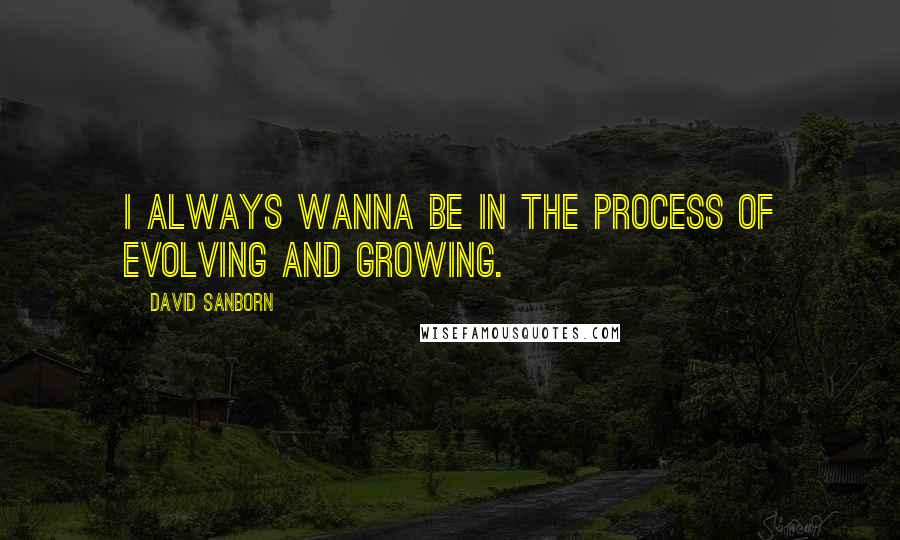 David Sanborn Quotes: I always wanna be in the process of evolving and growing.