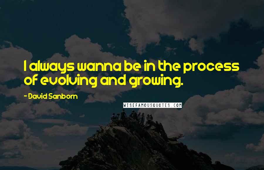 David Sanborn Quotes: I always wanna be in the process of evolving and growing.