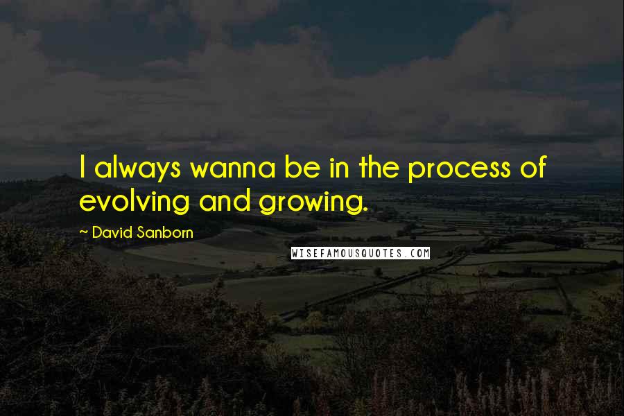 David Sanborn Quotes: I always wanna be in the process of evolving and growing.