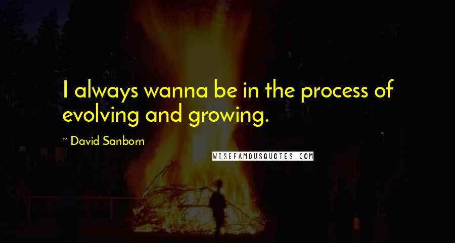 David Sanborn Quotes: I always wanna be in the process of evolving and growing.