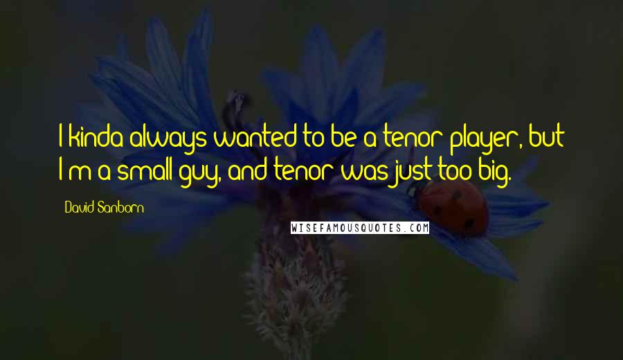 David Sanborn Quotes: I kinda always wanted to be a tenor player, but I'm a small guy, and tenor was just too big.